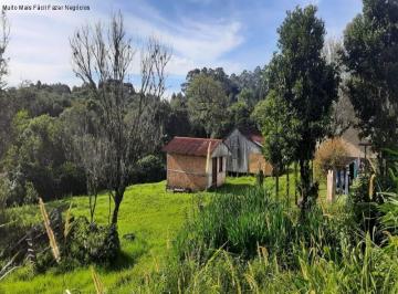 Foto 23 · Sitio, Linha Olinda, Nova Petrópolis, RS