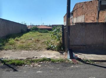 Foto 01 · Terreno, Parque Glória V, Catanduva, SP