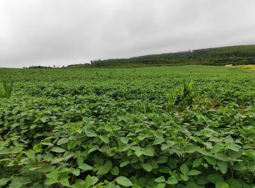 Foto 01 · Chácara EXCELENTE SÍTIO A VENDA EM PILAR DO SUL-SP ??   - Área Total 4 Alqueires   - 3,5 Alqueires e