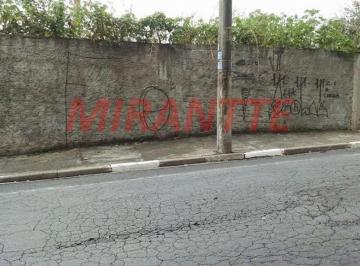 217a013ab180821de3a0dde1ee64c97e.jpg · Terreno