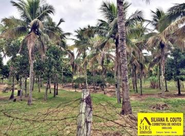 Rural de 4 quartos, Itaboraí · Itaboraí-Sitio Rural 4 Qts- 45.000 M² -Produzindo- 600 Mil