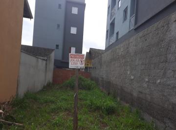 2022/08/0d6be86baadffbf4d0c8c9bf3d95ebc1.jpg · TERRENO - NOVA CEREJEIRA