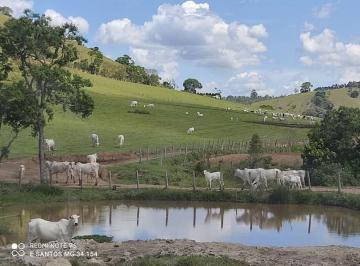 Foto 01 · Fazenda 250 Hectares, Rica em Água com 15 Nascentes, 12 Divisões de Pasto, 50 Hectares Agricultáveis