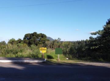 Terreno · 
                                Terreno a venda em Várzea Grande na cidade de Gramado
             