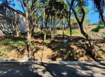 Terreno · 600m² · Lote em  Rua Madeira - Granja Carneiro Viana - Cotia/SP