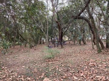 008d71b89929896c5c73a9191609251ee06ca7f5 · Terreno à venda, 1575 m² por R$ 1.450.000,00 - Cotia - Cotia/SP