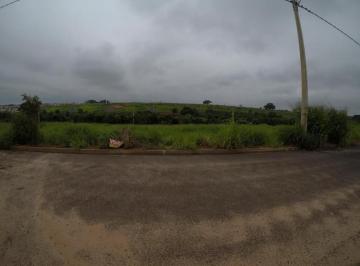 bady-bassitt-terreno-padrao-menezes-iv-08-10-2019_09-16-38-0.jpg · Lote com 227m² em Bady