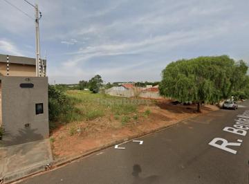 Terreno · 220m² · Terreno / À venda com 220 m² em Bady Bassitt