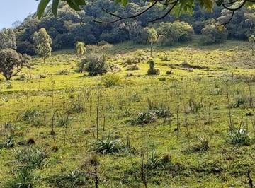Rural de 2 quartos, Taquara · Sitio com 3 Hectares em Taquara/RS na Localidade de Entrepelados