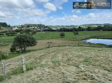 Rural · 180000m² · 6 Quartos · 2 Vagas · Sítio para Venda em Centro São Lourenço do Sul-RS - 2552