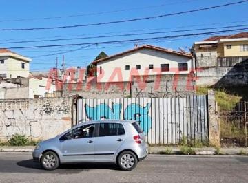 6190afda43eeb5b18fc240bb391e34aa.jpg · Terreno
