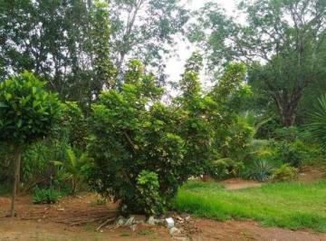 73ca2d1a2f56a368cde87971f9bb32d4.jpg · Fazenda / Sítios / Chácaras com 4 quartos à venda em Esmeraldas, no bairro Área Rural De Esmeraldas