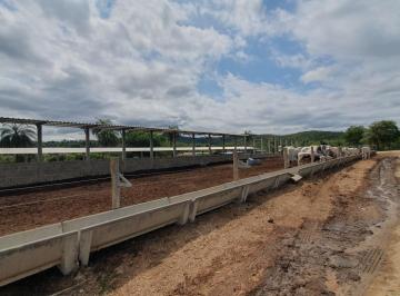 202511181609499053.jpg · Fazenda para Venda em Esmeraldas, CAIO MARTINS, 7 dormitórios, 3 suítes, 7 banheiros, 10 vagas