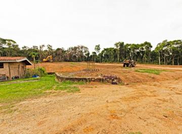 2022/08/0099013dd573372c128b622c6e89c7c8.jpg · TERRENO - RIBEIRÃO DOS PORCOS