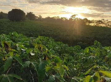 Rural , Laje · Chácara em Laje