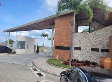 Contato Marcello 99604-6765 e Whatsapp, dos Tucuns, antes de Monte Alto de quem  · Terreno 250m2 com área de lazer completíssima, entre a Lagoa e o Mar.