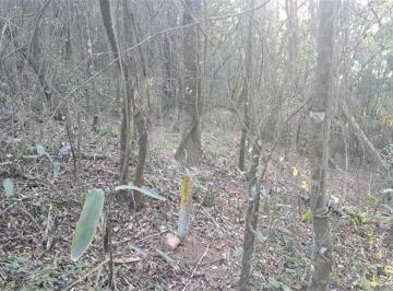 Área de Serviço · Terreno à venda em Mato dentro - SP