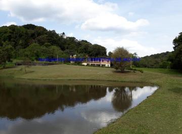 2022/01/52e24207763a31b1c830fb7e56e57595.jpg · RURAL - JUQUITIBA