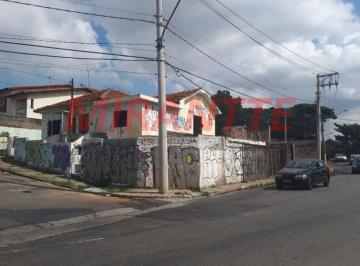 d745e3730978dfdf239aaede72310de0.jpg · Terreno