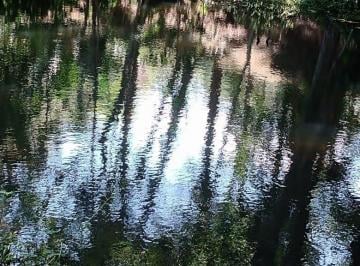 Rural en Venda de 3 quartos Centro · Chácara em centro  -  Juquitiba