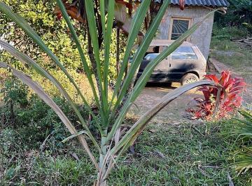 Rural · 2000m² · Chácara em Barrinha  -  São Lourenço da Serra