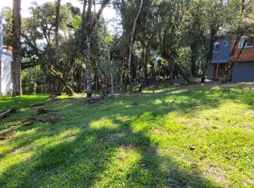 0d97526e8eb3fa1a060700c8f5f7a59facb02970 · Terreno Residencial à venda, Altos Pinheiros, Canela