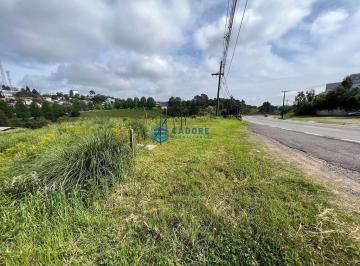 23199832_4.jpg · Terreno com frente para BR 116, para locação