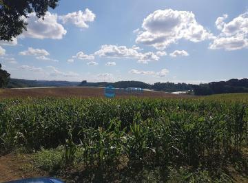 22932410_4.jpg · Área de terras a venda em Forqueta Caxias do Sul