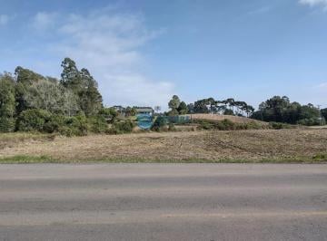 22932555_4.jpg · Terreno para industria e comercio com 10.800 m²