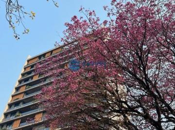 23908578_4.jpg · Apartamento com três suites no bairro Exposição