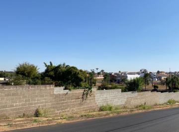 Terreno , Pirassununga · VENDO ou ALUGO TERRENO 4.376,91m² AVENIDA PAINGUÁS - PIRASSUNUNGA.