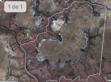 Rural , Lizarda · FAZENDA EM LIZARDA- TOCANTINS-  349 ALQUEIRES  OU 1691 HECTARES