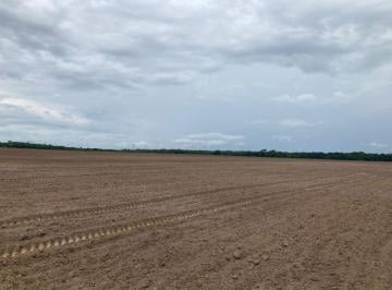 Rural , Gurupi · FAZENDA DE SOJA EM GURUPI- TOCANTINS- COM  144 ALQUEIRÕES (700 HECTARES).