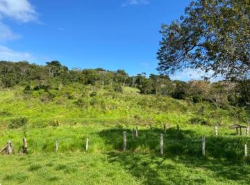 Foto 01 · Excelente Fazenda na Ba 262 entre Ilhéus e Uruçuca