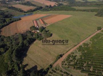2e338e7a609ec95d89cb1515df3b58ca503bfa93 · Sítio com 3 dormitórios à venda, 290400 m² - Bom Retiro - Porto Feliz/SP