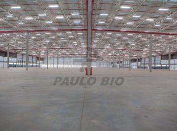 9937_i63enY6J07g203_9937630fb7e8681e8.jpg · Comercial para aluguel - em Avecuia do Alto