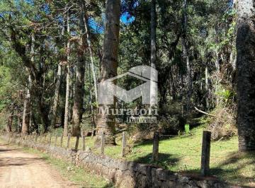 Terreno · 3800m² · Terreno na Região do Toriba com ótima topografia