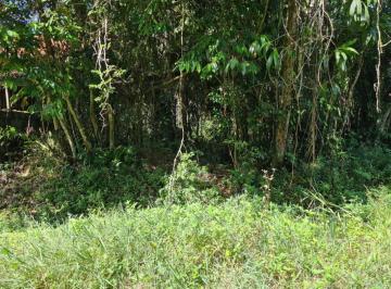 20220903214733962318.jpg · Terreno para Venda em Peruíbe, Guaraú