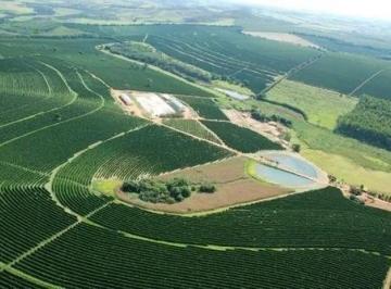 Foto 01 · Fazenda 530 Hectares, 268 Hectares em Lavoura de Café, 16 Hectares em Eucalipto, Rico em Água com Ri