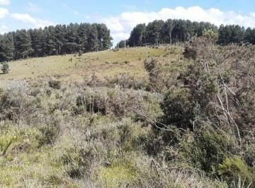 Rural · 250000m² · 1 Quarto · Sítio em  Interior - Interior - Zona Rural - São Francisco de Paula/RS