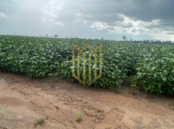 Excelente Fazenda MT a venda · Excelente Fazenda MT a venda