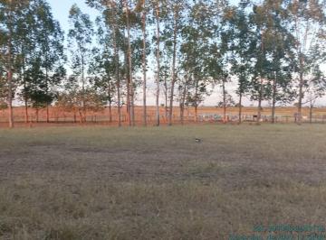 Rural , Conceição do Tocantins · Oportunidade 1070 alqueires próximo Luiz Eduarda Magalhães