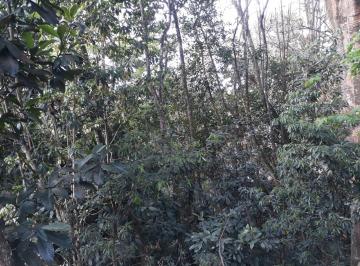 Terreno , Embu das Artes · Área para incorporação a 2 km do centro do Embu!