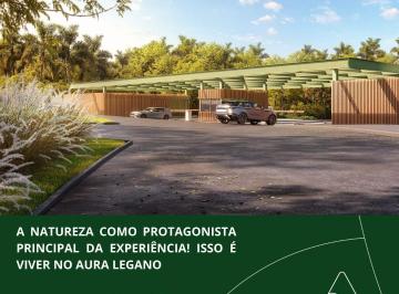 22456163_g.jpg ·
Aura Legano