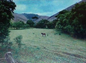 Foto 03 · Fazenda, São José do Turvo, Barra do Piraí, RJ