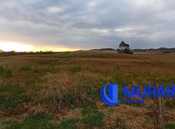 Rural · 5m² · Chácara 5 ha com agua para fazer açude