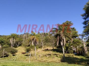 bbe8e04c2400ef0d800e075cd9aeb54b.jpg · Terreno