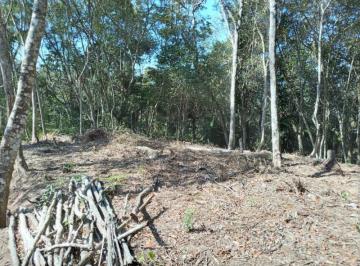 Foto 01 · Terreno em São Lourenço da Serra medindo 3.100,00 m²
