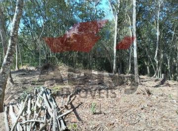 Foto 01 · Terreno em São Lourenço da Serra medindo 3.100,00 m²