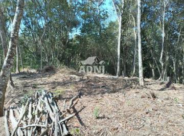 Foto 01 · Terreno em São Lourenço da Serra medindo 3.100,00 m²